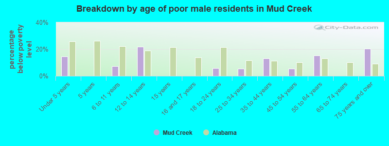 Breakdown by age of poor male residents in Mud Creek