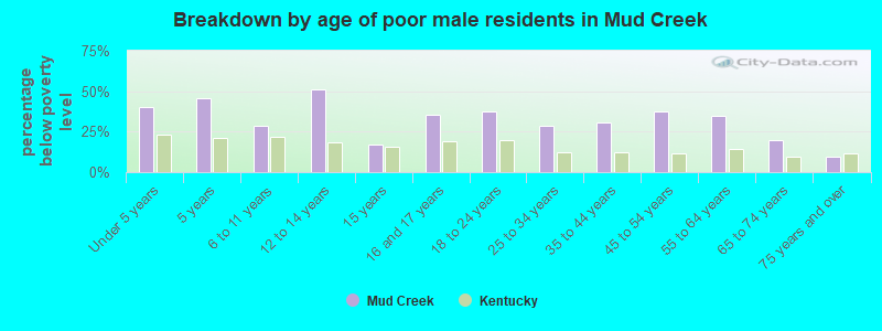 Breakdown by age of poor male residents in Mud Creek