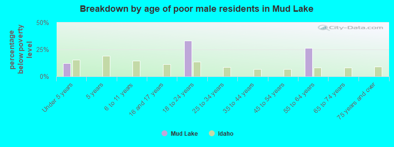 Breakdown by age of poor male residents in Mud Lake