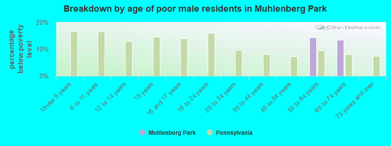 Breakdown by age of poor male residents in Muhlenberg Park