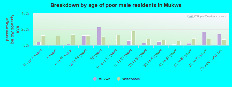 Breakdown by age of poor male residents in Mukwa