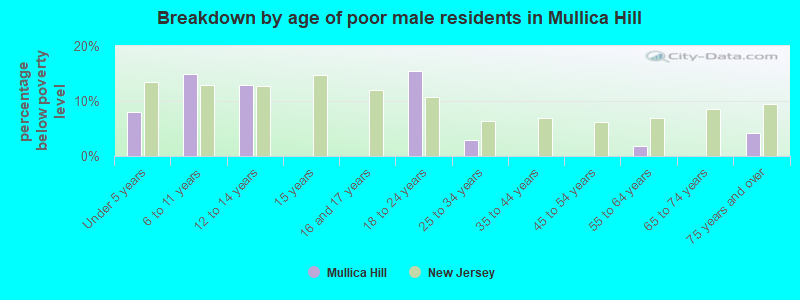 Breakdown by age of poor male residents in Mullica Hill