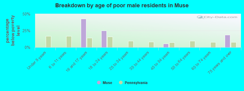 Breakdown by age of poor male residents in Muse