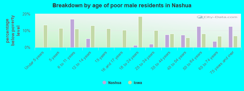 Breakdown by age of poor male residents in Nashua
