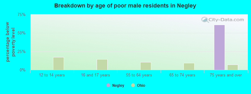 Breakdown by age of poor male residents in Negley