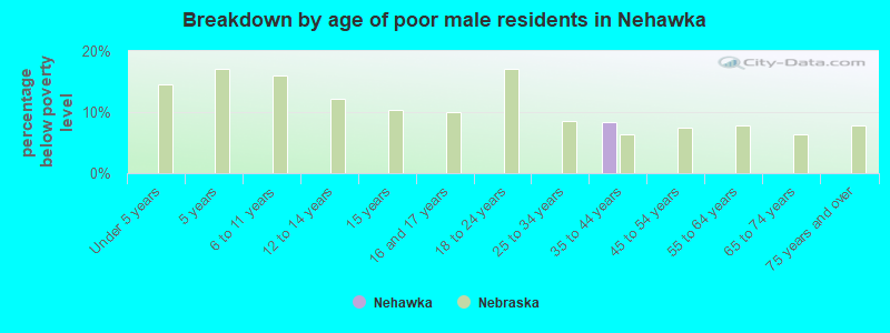 Breakdown by age of poor male residents in Nehawka