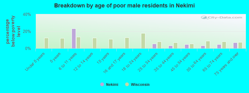 Breakdown by age of poor male residents in Nekimi