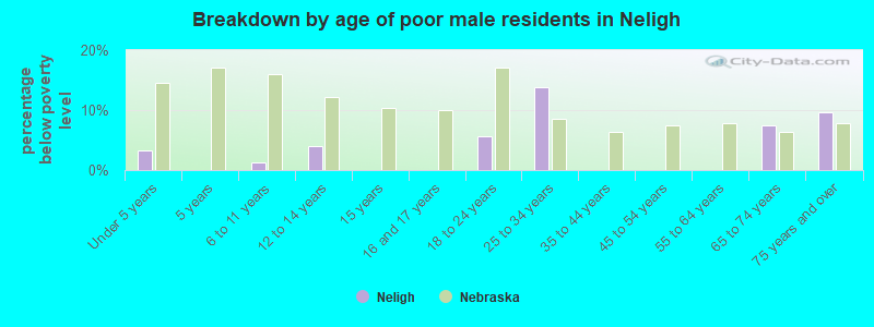 Breakdown by age of poor male residents in Neligh