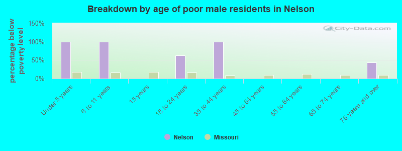 Breakdown by age of poor male residents in Nelson