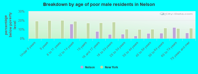 Breakdown by age of poor male residents in Nelson