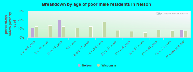 Breakdown by age of poor male residents in Nelson