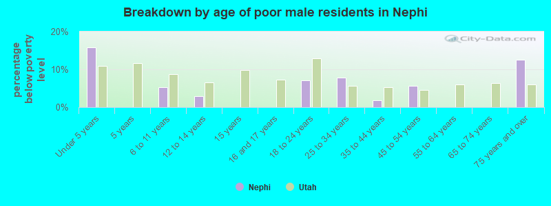Breakdown by age of poor male residents in Nephi