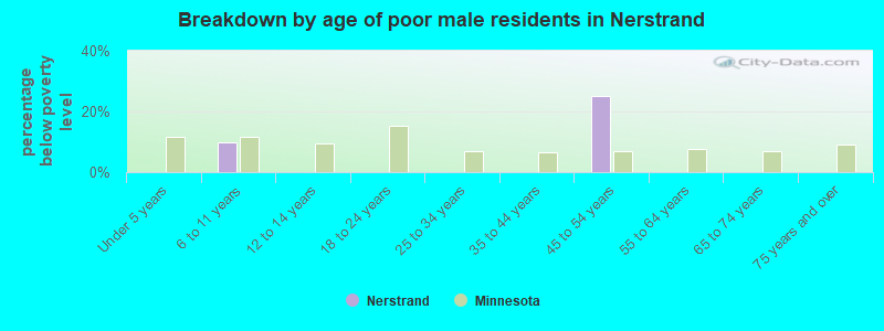 Breakdown by age of poor male residents in Nerstrand