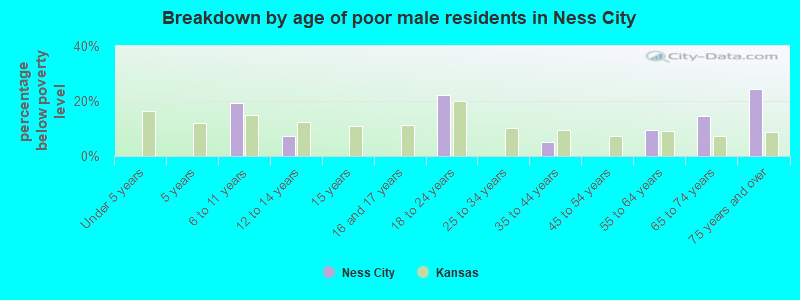 Breakdown by age of poor male residents in Ness City