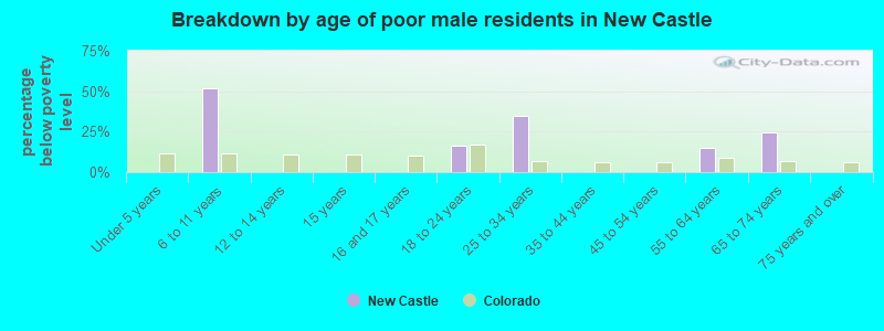 Breakdown by age of poor male residents in New Castle