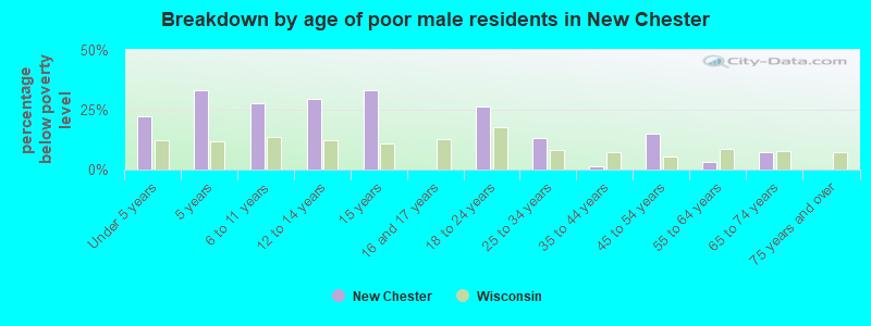 Breakdown by age of poor male residents in New Chester