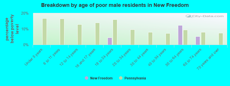 Breakdown by age of poor male residents in New Freedom