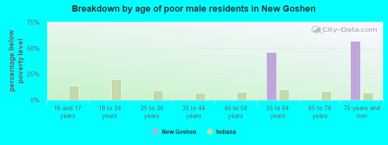 Breakdown by age of poor male residents in New Goshen