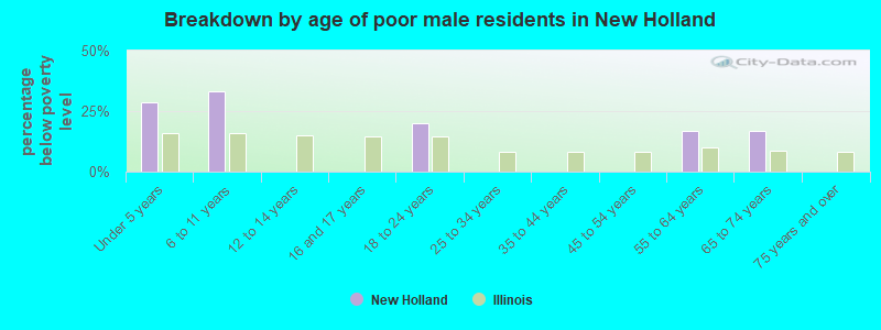 Breakdown by age of poor male residents in New Holland