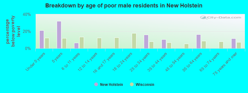 Breakdown by age of poor male residents in New Holstein