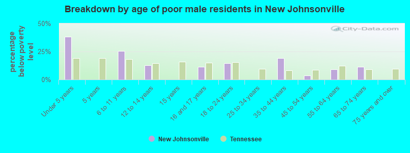 Breakdown by age of poor male residents in New Johnsonville