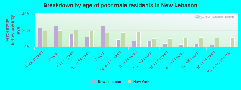 Breakdown by age of poor male residents in New Lebanon