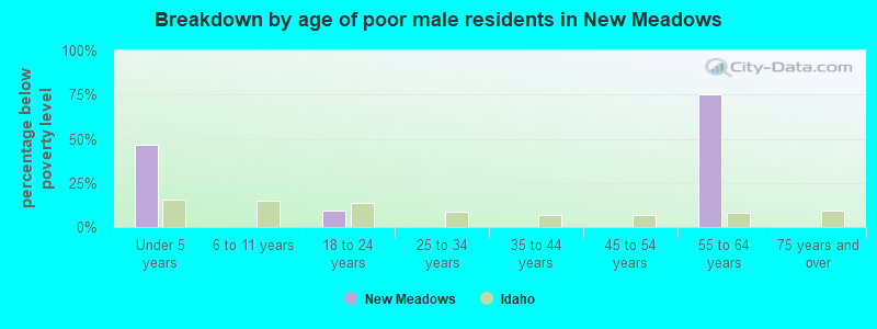 Breakdown by age of poor male residents in New Meadows