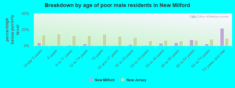 Breakdown by age of poor male residents in New Milford