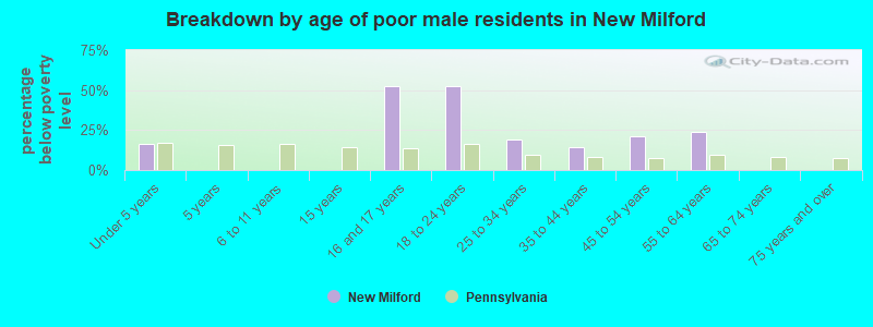 Breakdown by age of poor male residents in New Milford