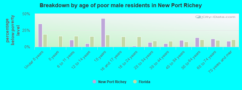 Breakdown by age of poor male residents in New Port Richey