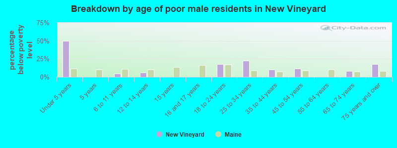 Breakdown by age of poor male residents in New Vineyard