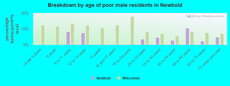 Breakdown by age of poor male residents in Newbold