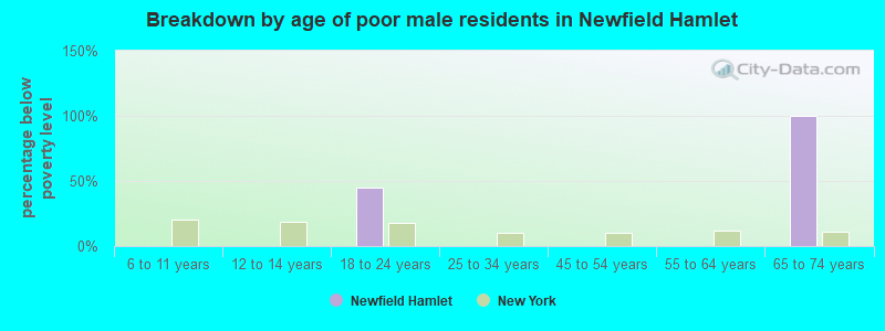 Breakdown by age of poor male residents in Newfield Hamlet