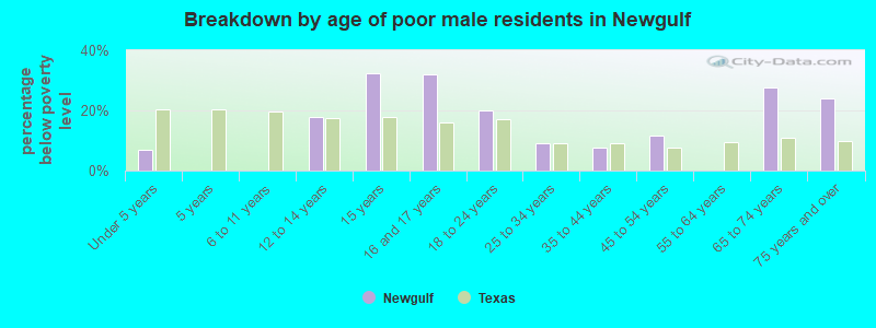 Breakdown by age of poor male residents in Newgulf