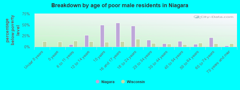 Breakdown by age of poor male residents in Niagara