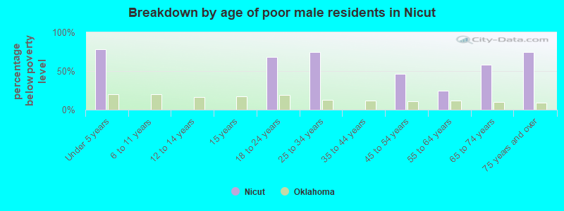 Breakdown by age of poor male residents in Nicut
