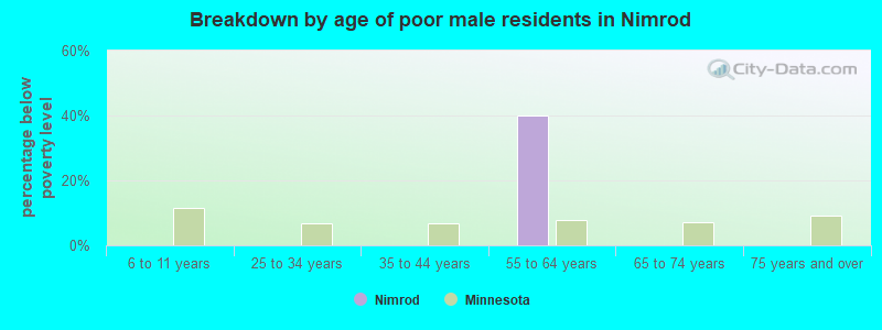 Breakdown by age of poor male residents in Nimrod