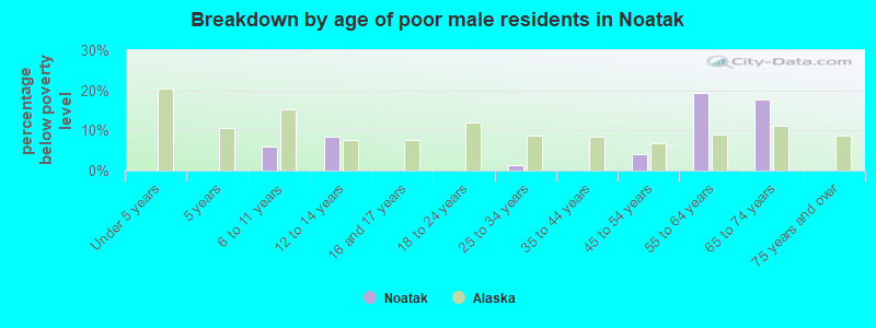 Breakdown by age of poor male residents in Noatak