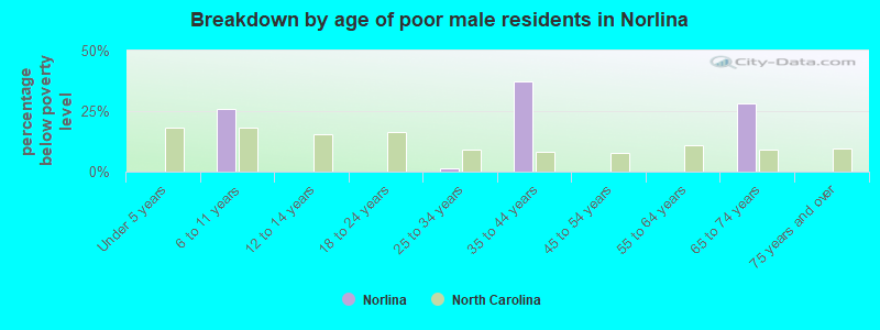 Breakdown by age of poor male residents in Norlina