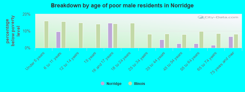 Breakdown by age of poor male residents in Norridge