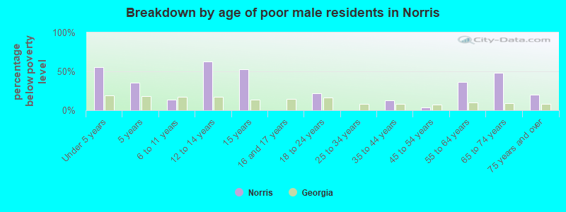 Breakdown by age of poor male residents in Norris