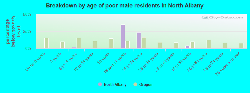 Breakdown by age of poor male residents in North Albany