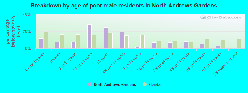 Breakdown by age of poor male residents in North Andrews Gardens