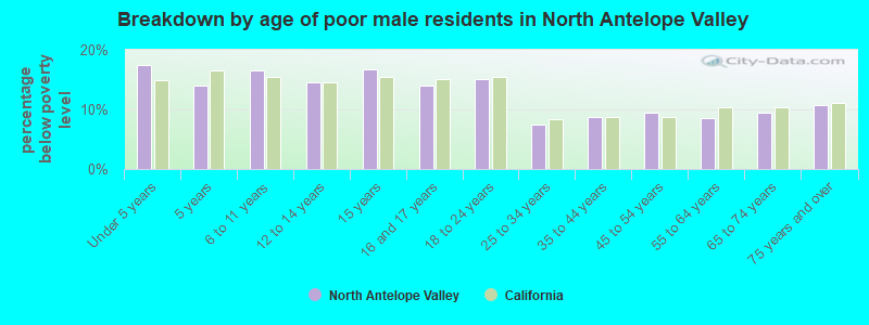 Breakdown by age of poor male residents in North Antelope Valley