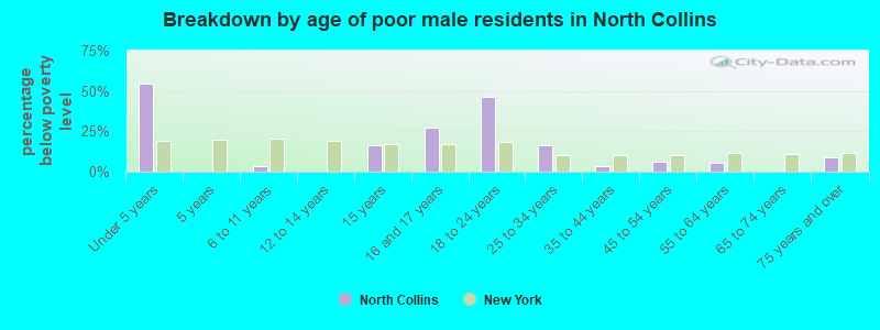 Breakdown by age of poor male residents in North Collins