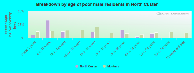 Breakdown by age of poor male residents in North Custer