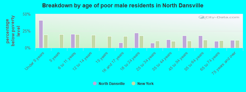 Breakdown by age of poor male residents in North Dansville