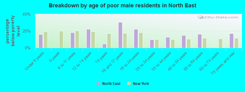 Breakdown by age of poor male residents in North East