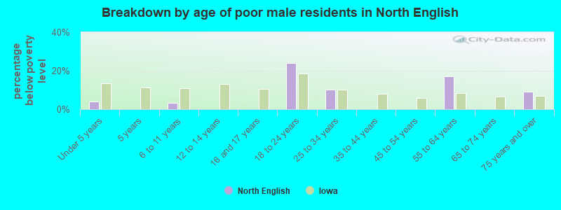 Breakdown by age of poor male residents in North English