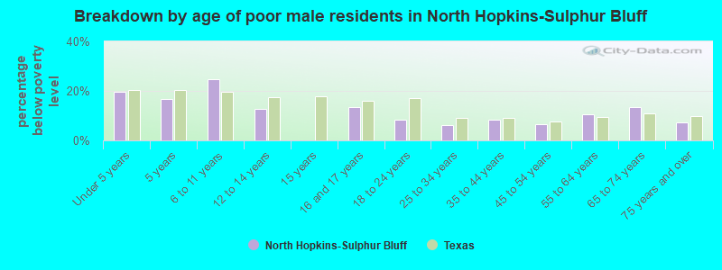 Breakdown by age of poor male residents in North Hopkins-Sulphur Bluff